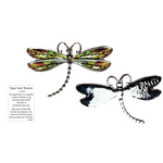 Dragonfly Inspriational Pocket Charm -