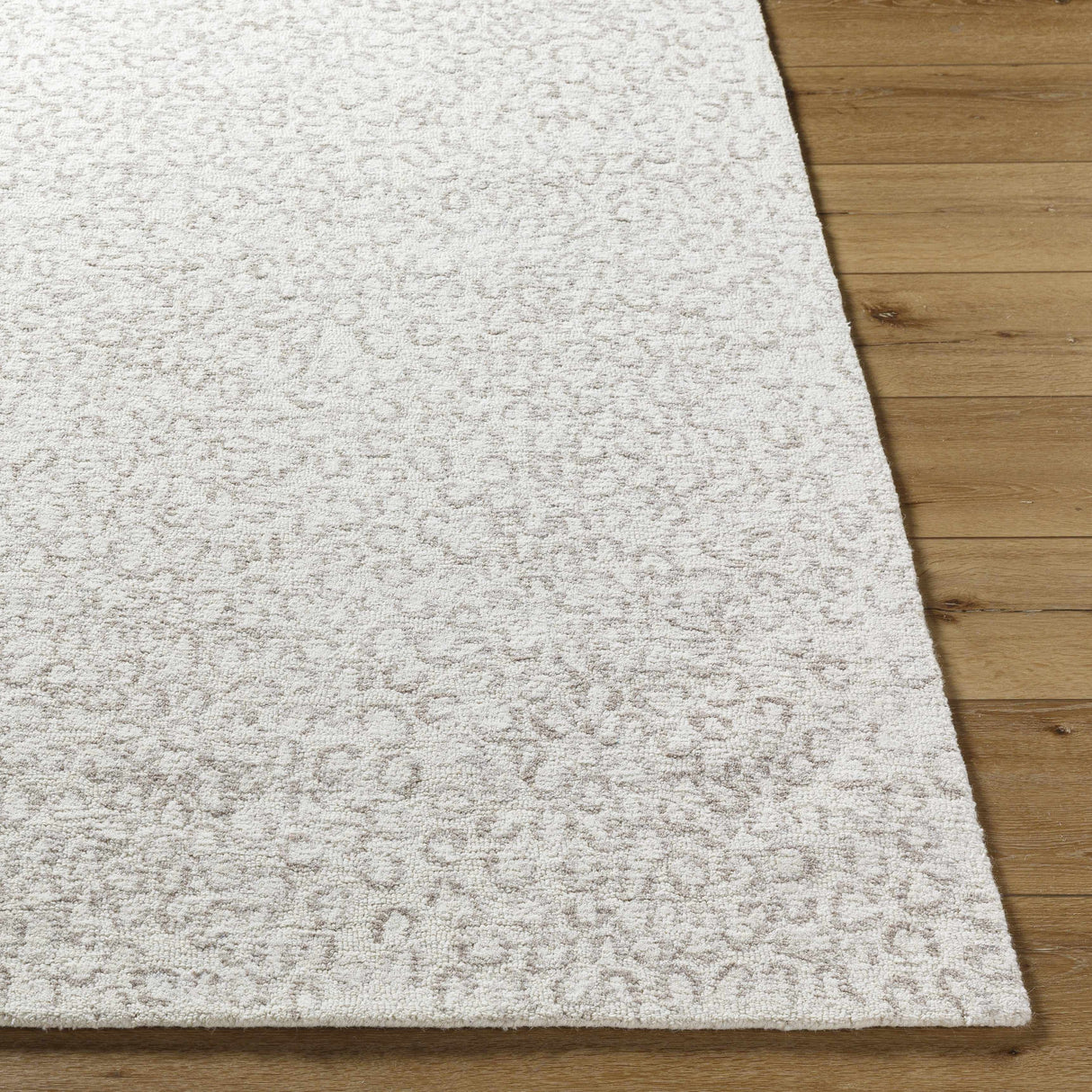 Zayit Area Rug