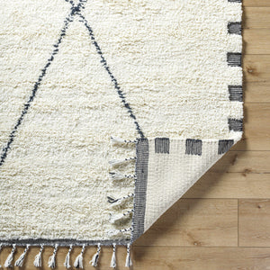 Zajac Area Rug - Clearance