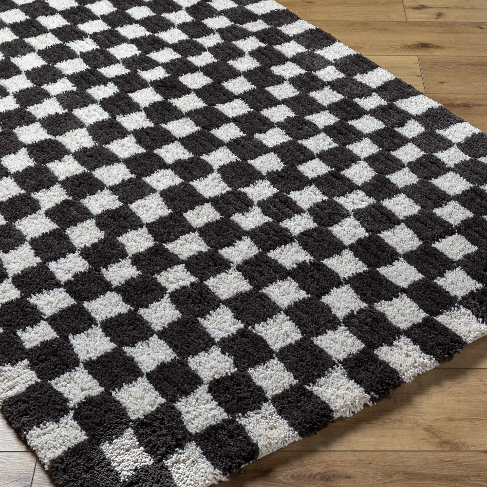 Zveha Area Rug