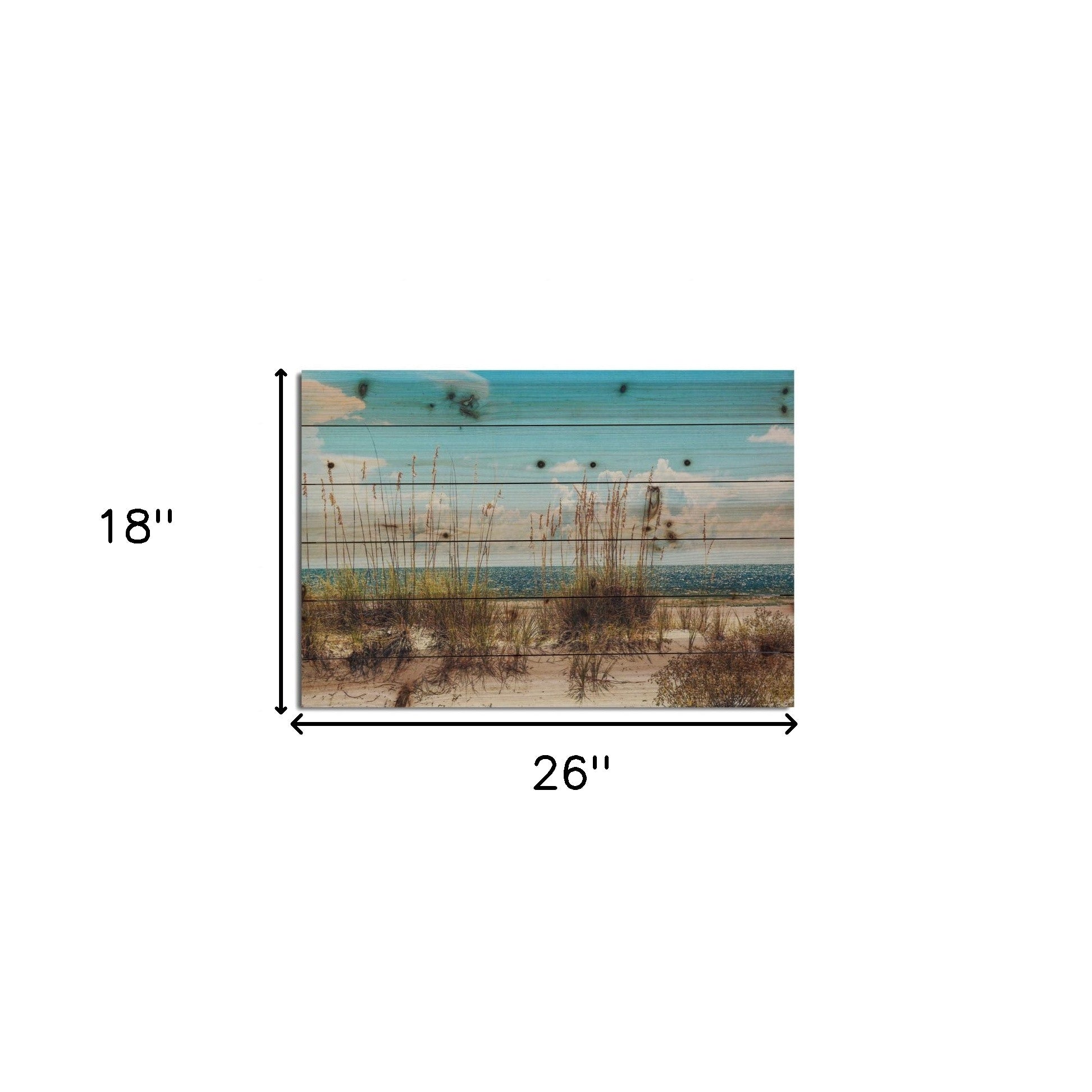 Ocean Sand Dunes Unframed Photograph Wall Art - Tuesday Morning-Wall Art